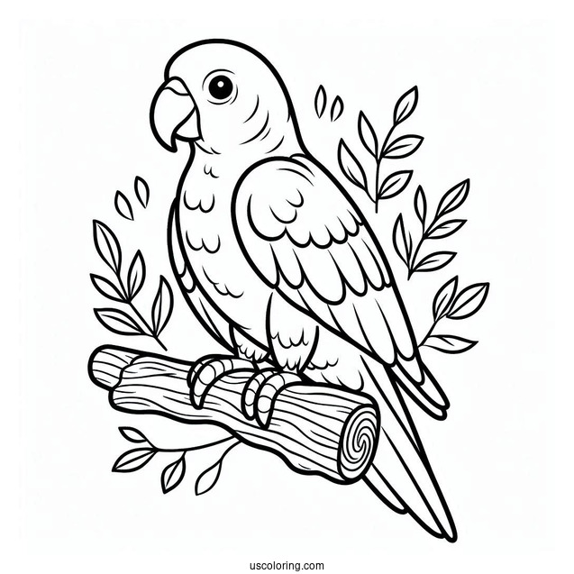 Parrot With Large Beak To Color