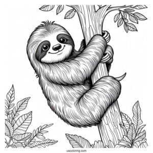Sloth Climbing Up Tree To Color