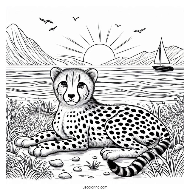 Cheetah Coloring Page Resting By The Sea
