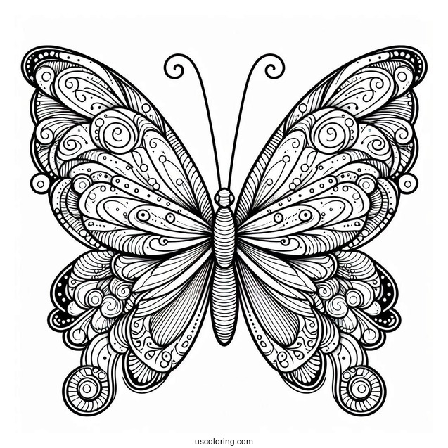 Pretty Butterfly With Detailed Wings To Color