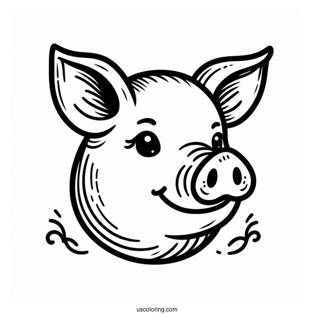 Simple Outline Of a Pigs Head To Color