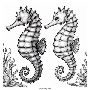 Coloring Page Of a Realistic Looking Seahorse
