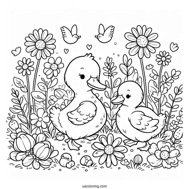 Farm Ducks Walking Through Flower Field