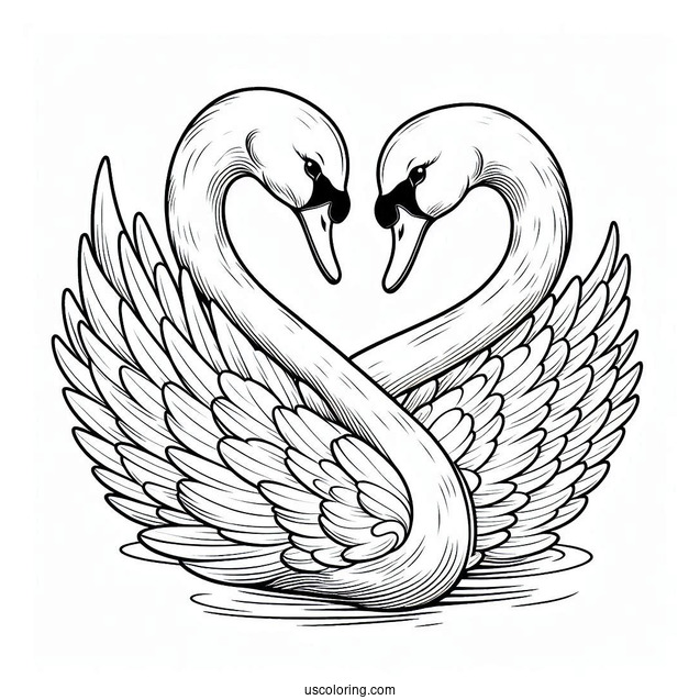 Swan Coloring Page Forming Heart Shape With Their Necks