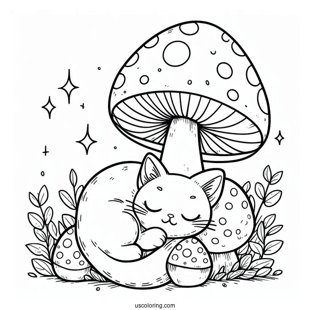 Cat Sleeping On Big Mushroom