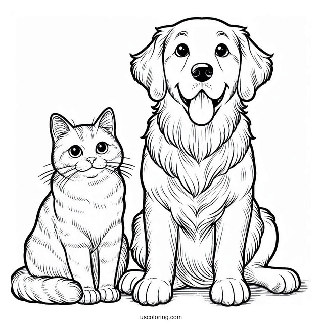 Golden Retriever And Cat Sitting Together Coloring Page