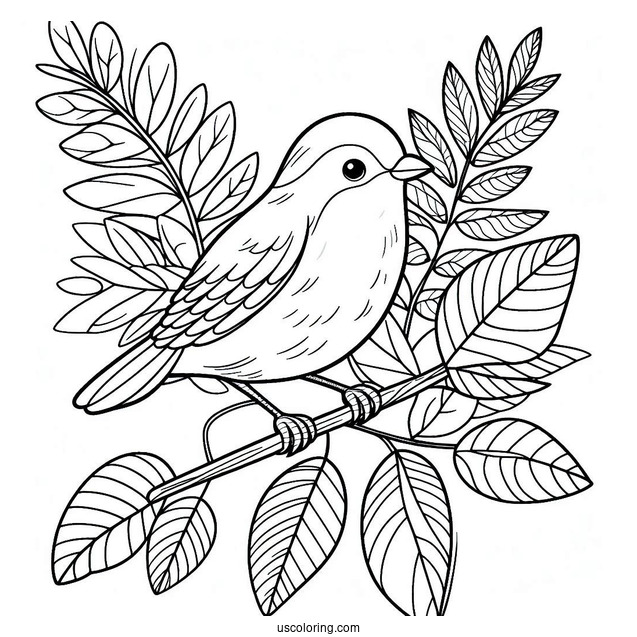 Easy Outline Of Bird Perched On Leaf In Jungle Coloring Page