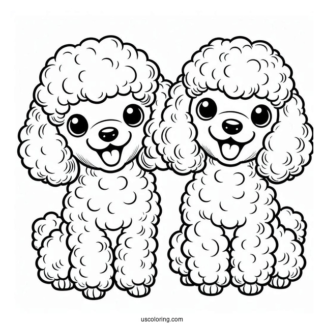 Two Miniature Poodles Smiling