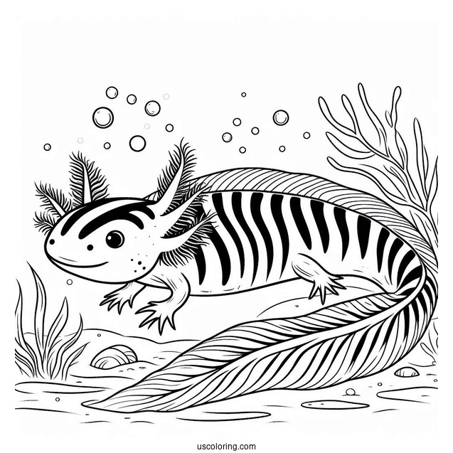 Striped Axolotl Coloring Page Swimming Towards The Sea Floor