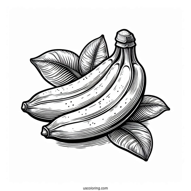 Banana With Leaves Coloring Sheet
