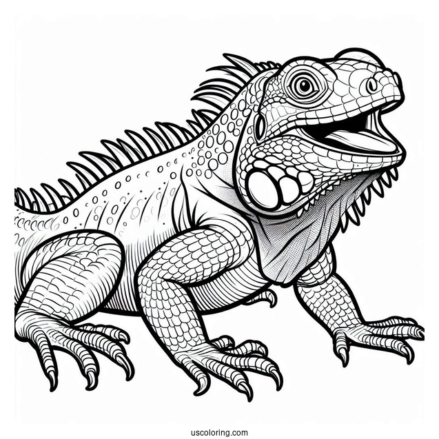 Lizard Coloring Page of Green Iguana With Mouth Open