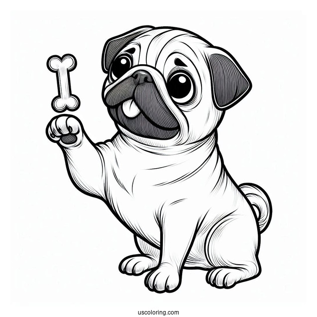 Pug Dog Begging For a Treat