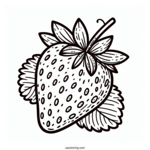 Strawberry Coloring Page Fruit Flashcard For Kids