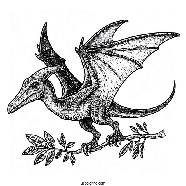 Pterodactyl Coloring Page With Textured Skin And Detailed Wings