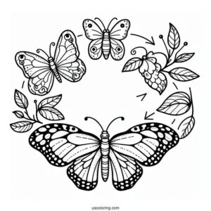Butterfly Coloring Page Life Cycle