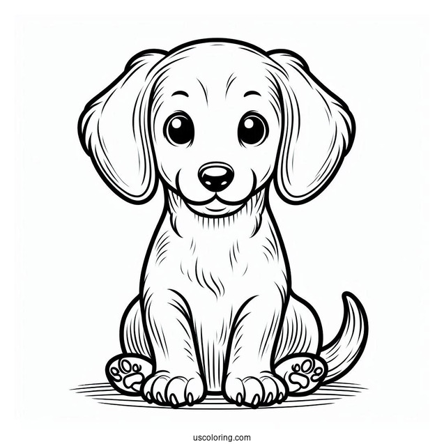 Dachshund Puppy Coloring Page