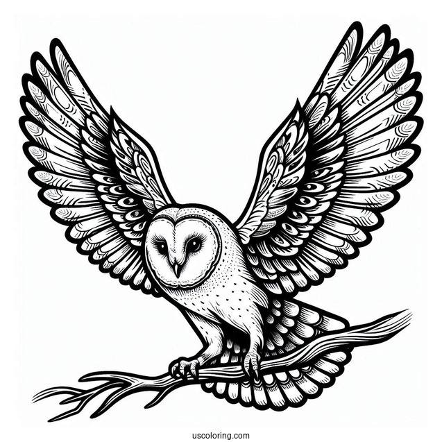 Barn Owl Flying With Large Wings