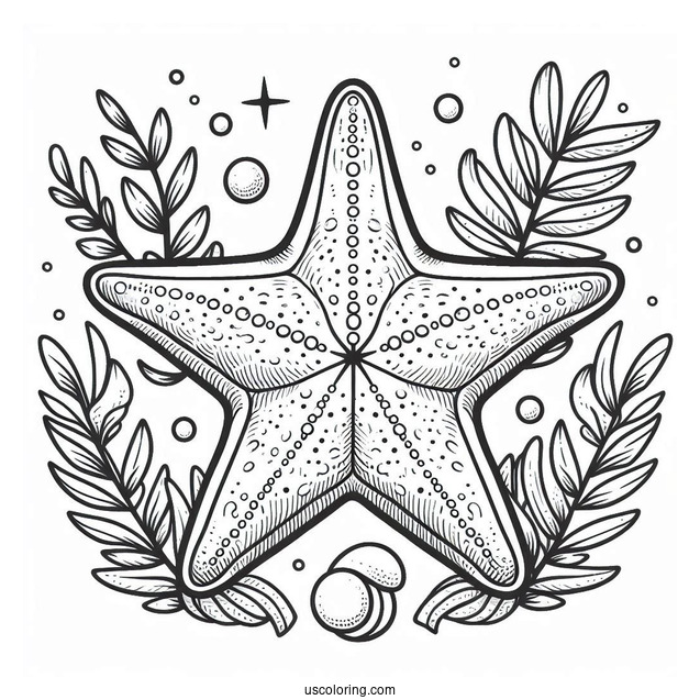 Peach Starfish Coloring Page From Finding Nemo