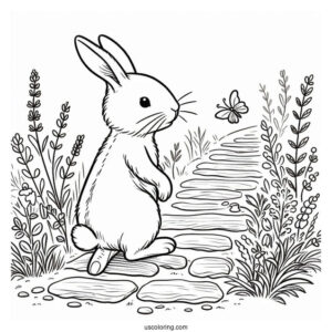 Easy Peter Rabbit Coloring Page Walking Down A Path