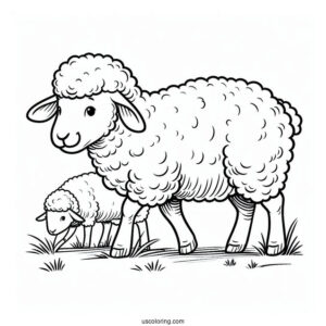 Sheep Grazing On A Farm Coloring Page