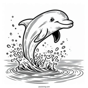 Smiling Dolphin Splashing In Water