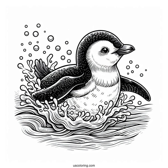 Swimming Galapagos Penguin Coloring In