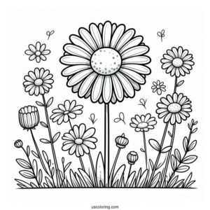 Flower Coloring Pages Of Field Of Daisies For Preschoolers