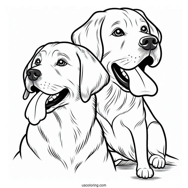 Coloring Sheet Of Labrador Retriever With Tongue Out