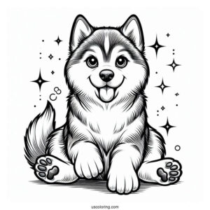 Husky With Paw Up