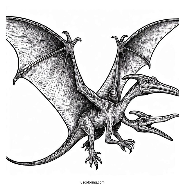 Pterodactyl Coloring Page With Textured Skin And Detailed Wings