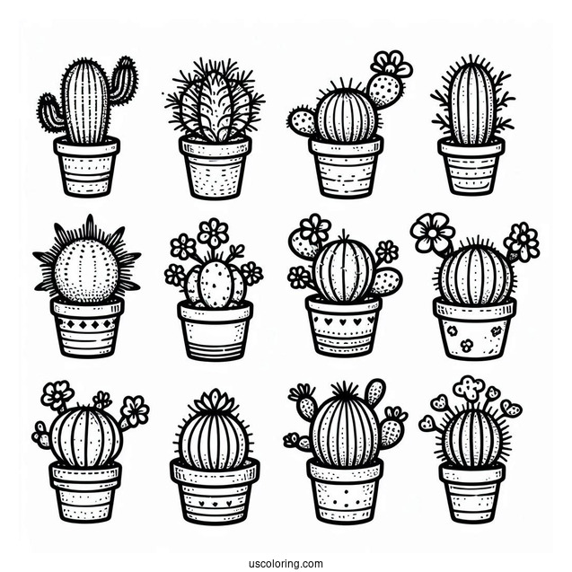Various Baby Cactus Plants To Color