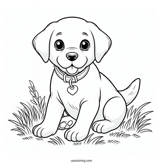 Simple Labrador Puppy On Grass To Color