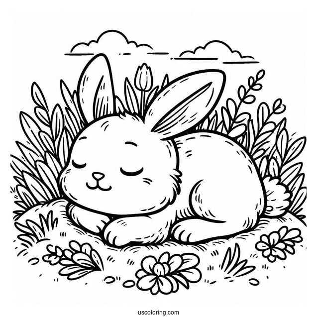 Adorable Rabbit Sleeping In Grass Patch