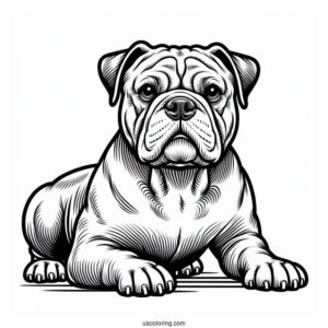 Coloring Page Of American Bulldog