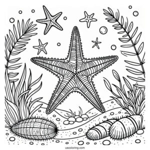 Simple Starfish Coloring Page On The Sea Floor With Sea Cucumber And Brittle Star