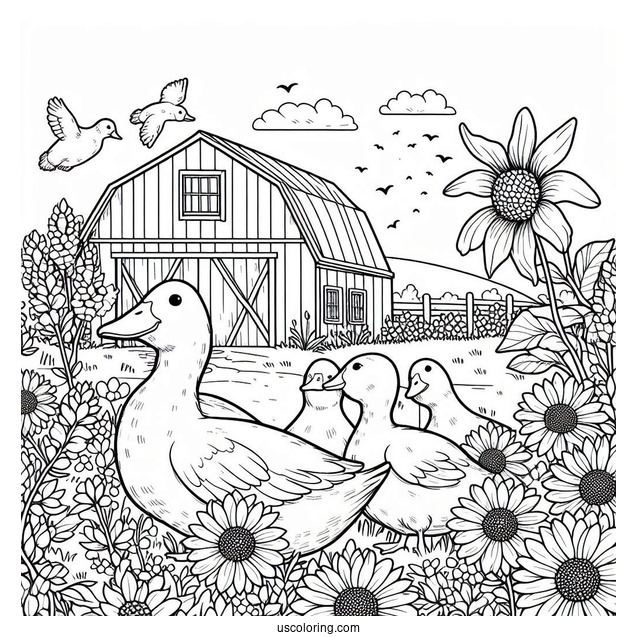 Farm Ducks Walking Through Flower Field