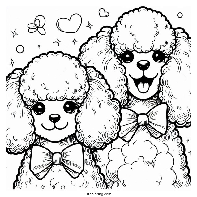 Two Miniature Poodles Smiling