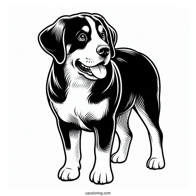 Simple Outline Of Greater Swiss Mountain Dog