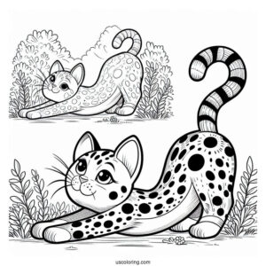 Spotted Cat Stretching In Backyard Coloring In