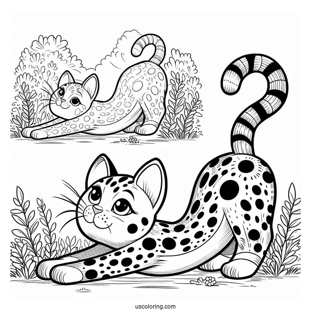 Spotted Cat Stretching In Backyard Coloring In