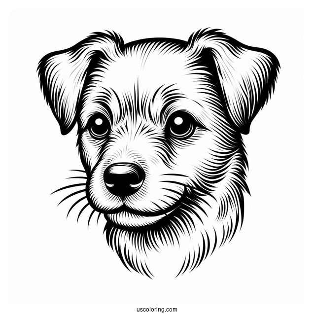 Close Up Of Dog Face Coloring Sheet