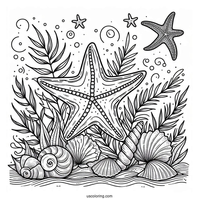 Starfish Coloring Page With Seashells And Seaweeds