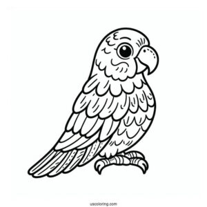 Kids Coloring Page Of a Parrot