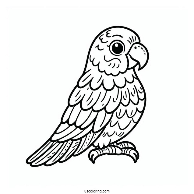 Kids Coloring Page Of a Parrot