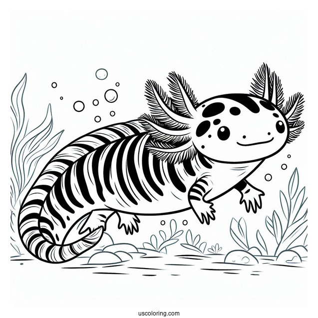 Striped Axolotl Coloring Page Swimming Towards The Sea Floor