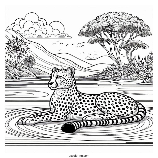 Cheetah Coloring Page Resting By The Sea