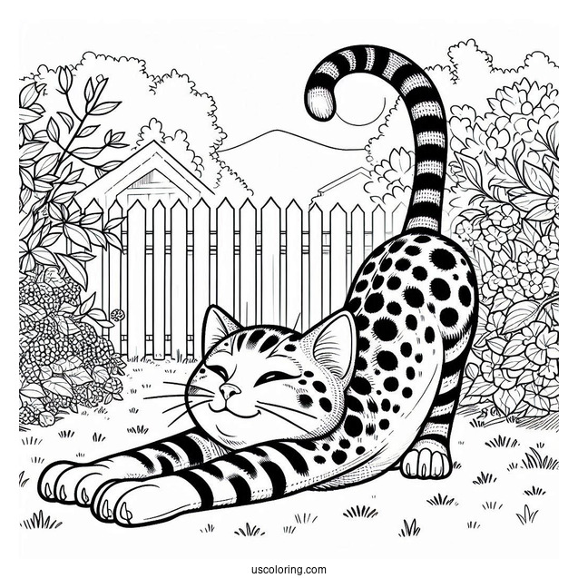Spotted Cat Stretching In Backyard Coloring In