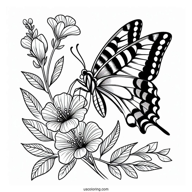 Swallowtail Butterfly Coloring Page Perched On Flowers And Leaves