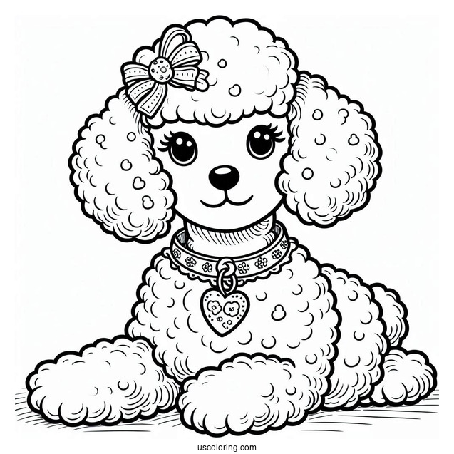 Poodle Dog With Collar