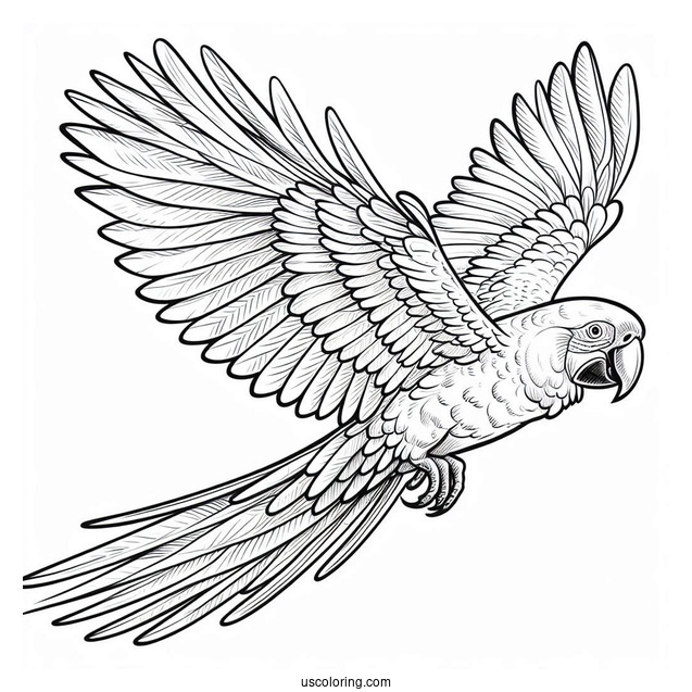 Flying Hyacinth Macaw Parrot